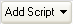 Image of Add Script button
